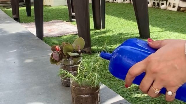 Garden Decoration idea with Waste materiel /easy home gardening смотреть онлайн