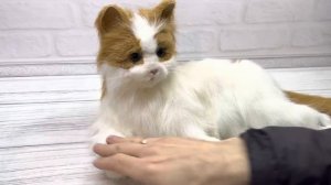 Интерактивная кошка furreal freands