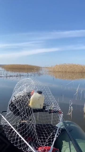 Лодка на воде , рыбалка и  свежий воздух #рыбалка #fishing #карась #щука #fish #окунь #рыба #лодка смотреть онлайн