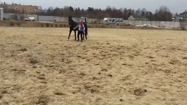 Лошадиная свеча по команде!!! Мы смогли!!! Коноблог Варя и Сапфира. смотреть онлайн