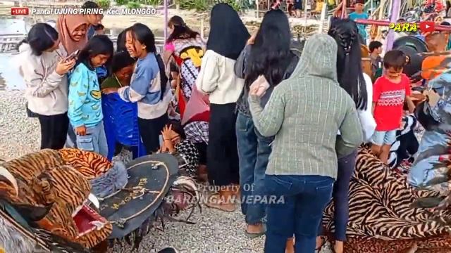 Singo Barong 3  BUDHAYA KATRESNAN Feat KMJ Live Pantai Ujung Piring Kec Mlonggo  Barongan Jepar