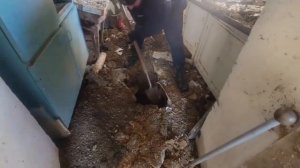 Село Посад Покровское после освобождения в Херсонской области.