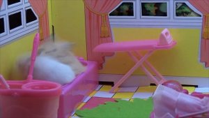 Семья хомяков в кукольном домике. Смешные хомки