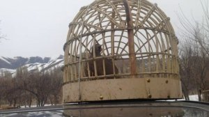 Овози модкабки 110 та гиро  зурибадай боваркун