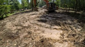 Cutting down saw mill trees