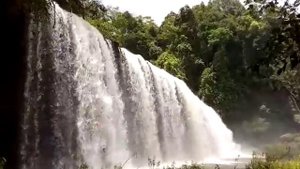 General Knowledge | About of Amazon river And rainforest | Duniya ka sabse bada jungle kaha hai