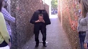 Реквизит для фокуса Падающая голова из Китая дешево | Товары aliexpress