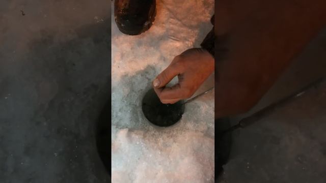 10.02.2017 Борьба с третьим осетром смотреть онлайн