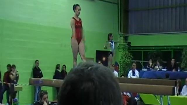 Montage Vanessa Régions Indiv.wmv