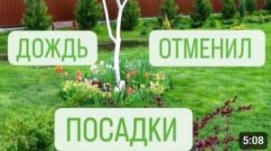 ДОЖДЬ ОТМЕНИЛ ВСЕ ПОСАДКИ. 22.04.2024г.