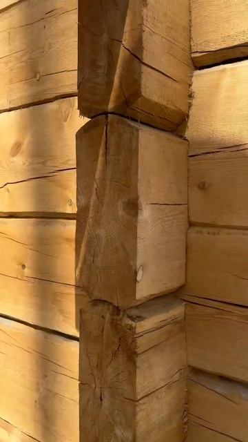 Баня из сухарника (кело) , лафет . #баня #строительство #кело#shorts
