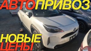 ЯПОНСКИЕ АВТО ПОД ЗАКАЗ ЦЕНЫ В ФЕВРАЛЕ 2025 STEPWGN _ FREED+ _ JADE _ YARIS CROSS