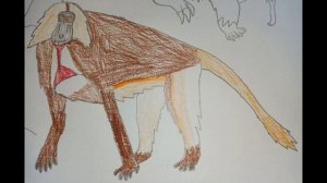 Sound Effects-Gelada Baboon