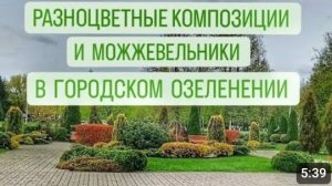 РАЗНОЦВЕТНЫЕ КОМПОЗИЦИИ И МОЖЖЕВЕЛЬНИКИ В ГОРОДСКОМ ОЗЕЛЕНЕНИИ. 19.04.2024г.