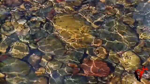 Ashram - Il Mostro - The Most Wonderful Violin - 1080p HD смотреть онлайн