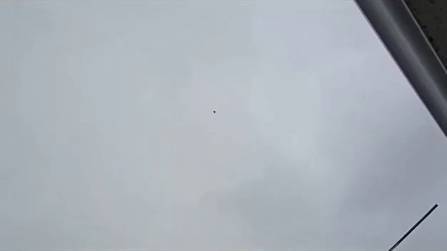 10.07.2023.НИКОЛАЕВСКИЕ ГОЛУБИ. ВИКТОР ЗУБНИК. ГОРОД ВОЛГОДОНСК 🕊🕊🇷🇺