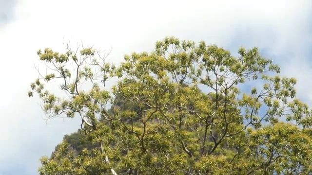 Amazing pool view at the Railay Princess Resort смотреть онлайн
