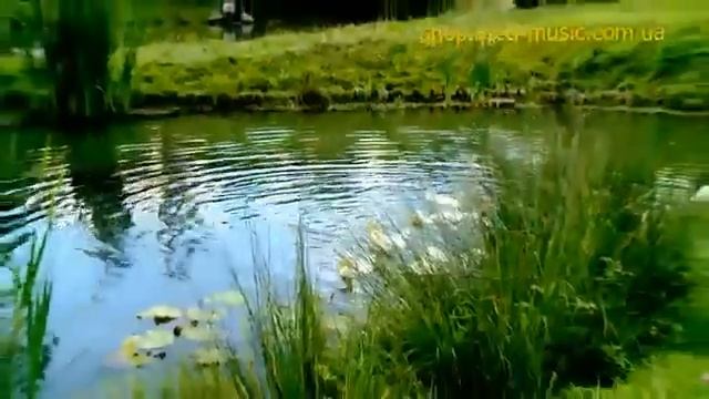 Наталя Фаліон та гурт Забава - Запорожець-folk song