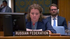 Statement by DPR Anna Evstigneeva at a UNSC Briefing on the Situation in the CAR