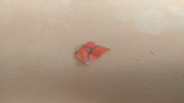 !! DÉCOUVERTE D'UN SPÉCIMEN RARE !! 😱😱😱 смотреть онлайн