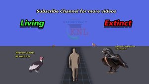 Living vs Extinct Animals Size Comparison in 2024 | Living Species vs Extinct Giant Size Comparison