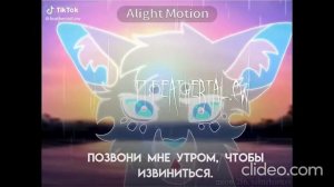 Подборка лучших видео из тик тока на тему "коты воители"