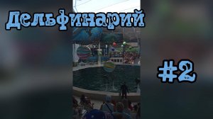 Волшебный мир дельфинов: Искусство и грация