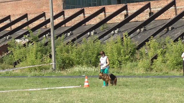 Домиана из Белого Яра смотреть онлайн