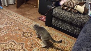 VID_20250216_192102.mp4