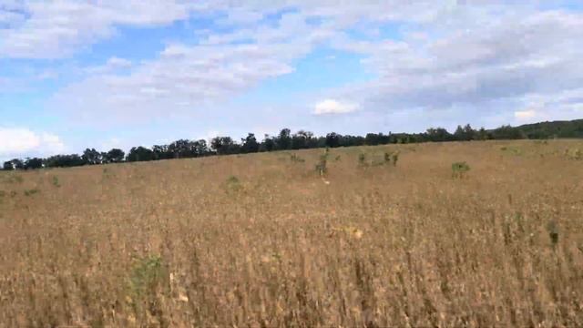 Бриє при землі C750 Tucano 470