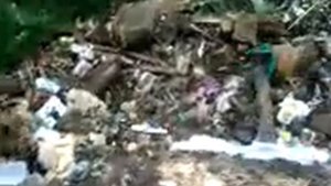 МарёвоЛЕВ и Марёвская свалка