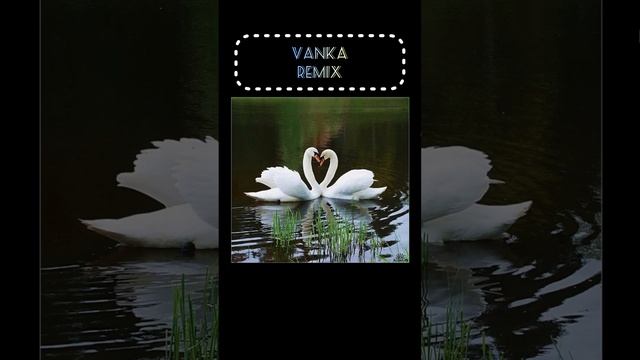 Лебеді Кохання(REMIX) смотреть онлайн