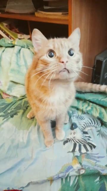 проснулся не в настроении.