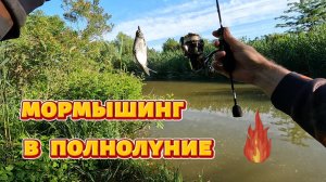 Мормышинг в полнолуние.