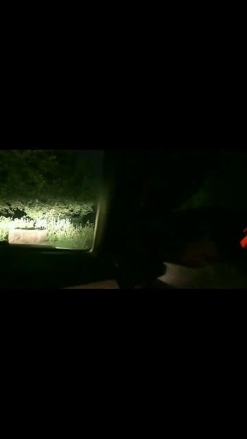 The ghost 💀💀 stopped the car 🚘️  #shortvideo #viralvideo смотреть онлайн