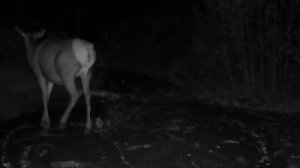 ИЗЮБРИ НА СОЛОНЦЕ / СЕНТЯБРЬ 2023 ...