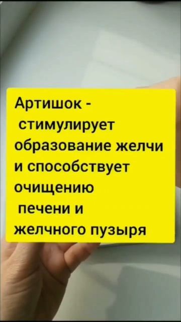 Синхровитал 4- натуральный комплекс для поддержки здоровья вашей печени.