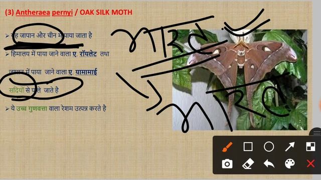 SERICULTURE- Lecture-I By Vivek Singh Maharia