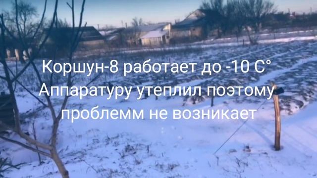 Всходы чеснока скованы льдом! Выдержит ли чеснок при моем методе посадки? Херсон 9 января.