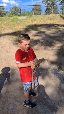 Louis the lizard Hunter and a Water Dragon!