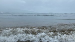 Тропический Рай ( Вьетнам ) Пальмы, Море и Звук Природы