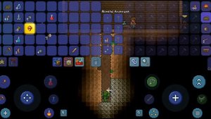 прохождение террарии на эксперте за воина мечника