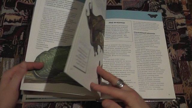 "Насекомые. полная энциклопедия" (2008)