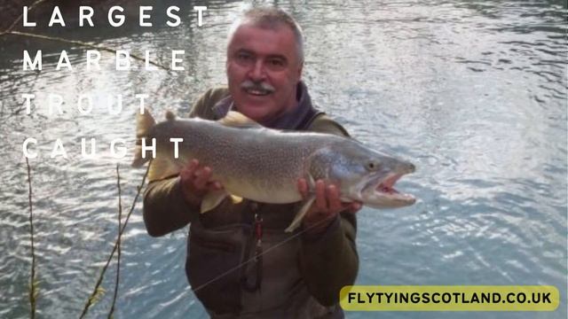 LARGEST MARBLE TROUT смотреть онлайн