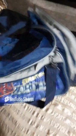 ПРОДАЖА НА АВИТО!!СУМКА ОТПРАВИТСЯ НОВОМУ ВЛАДЕЛЬЦУ!!Shorts