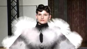 Iris van Herpen: Transforming Fashion