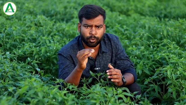 Fhasal keliye Best Tonic || Best Plant Growth Promoters || Best Plant Growth Regulators