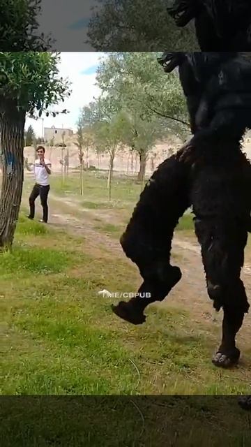 Отличный наряд для вечерней прогулки по парку.