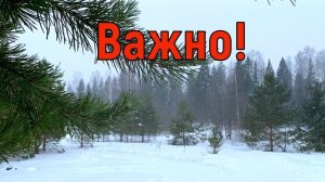 22 февраля День Панкратия.