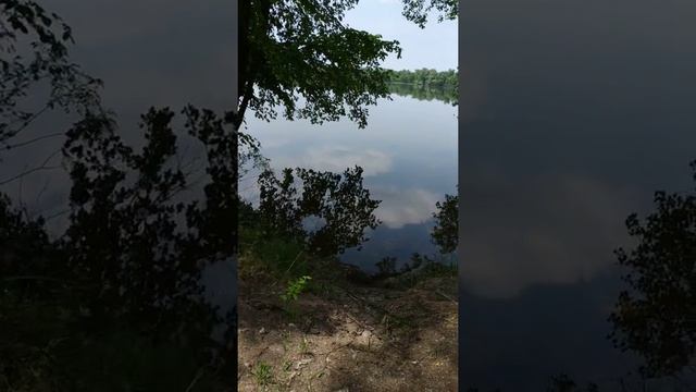 Соловей на Горном острове 15.05.19 смотреть онлайн